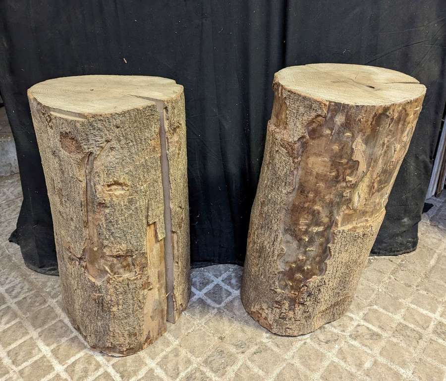 M1820 TWO RUSTIC WOODEN TREE STUMPS FOR STOOLS / LAMPS BASES ect